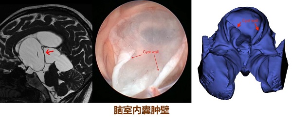 2745.jpg 2745.jpg