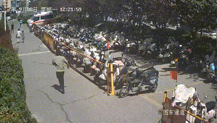 IMG_2212.GIF