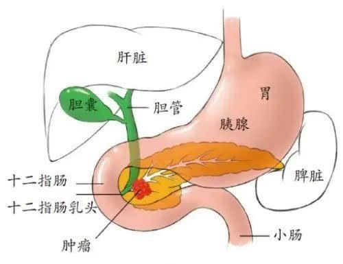 微信图片_20230404101100.jpg 微信图片_20230404101100.jpg