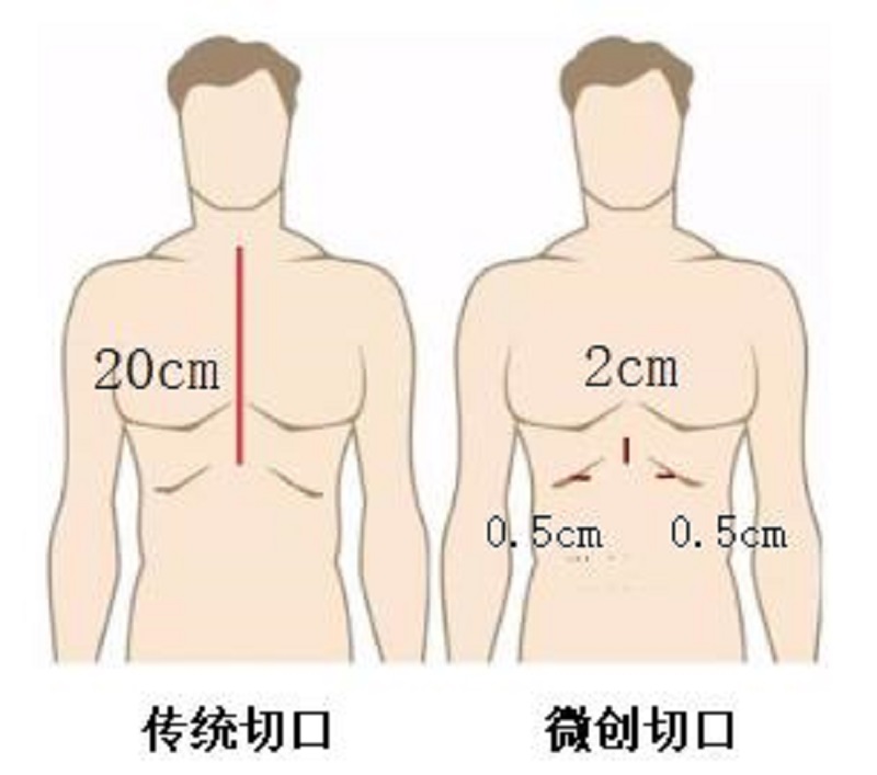 166.jpg 166.jpg